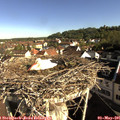 08_40-nest.jpg
