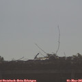 08_45-mast.jpg
