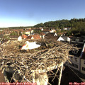 08_45-nest.jpg