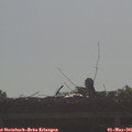 08_50-mast.jpg