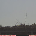 08_55-mast.jpg