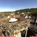 09_00-nest.jpg