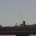 09_05-mast.jpg