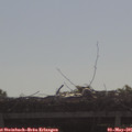 09_15-mast.jpg