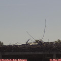09_20-mast.jpg
