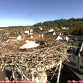 09_20-nest.jpg