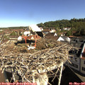 09_25-nest.jpg