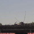 09_30-mast.jpg