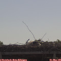 09_40-mast.jpg