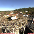 09_40-nest.jpg