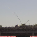 09_45-mast.jpg