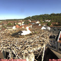 10_05-nest.jpg