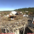 10_15-nest.jpg
