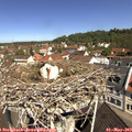 10_55-nest.jpg