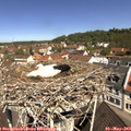 11_05-nest.jpg