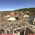 11_10-nest.jpg