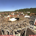 11_20-nest.jpg