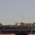 12_00-mast.jpg