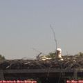 12_05-mast.jpg