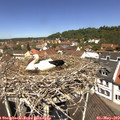 12_05-nest.jpg