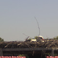 12_30-mast.jpg