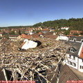 12_30-nest.jpg