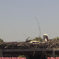 12_35-mast.jpg