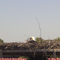 13_05-mast.jpg