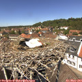 13_05-nest.jpg