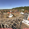 13_15-nest.jpg