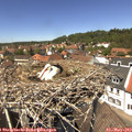 13_20-nest.jpg
