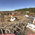 13_25-nest.jpg