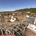 13_35-nest.jpg