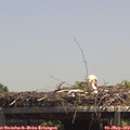 13_40-mast.jpg