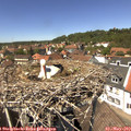 13_40-nest.jpg