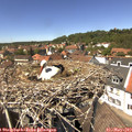 13_45-nest.jpg