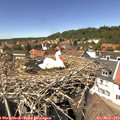 14_00-nest.jpg