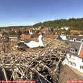 14_05-nest.jpg