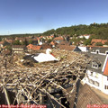 14_10-nest.jpg