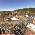 14_15-nest.jpg