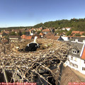 14_30-nest.jpg