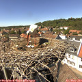 14_35-nest.jpg