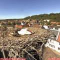 14_40-nest.jpg