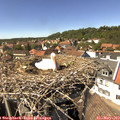 14_45-nest.jpg