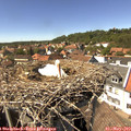 14_50-nest.jpg