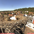 14_55-nest.jpg