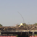 15_00-mast.jpg