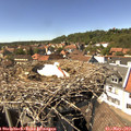 15_00-nest.jpg