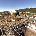 15_05-nest.jpg