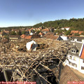 15_10-nest.jpg